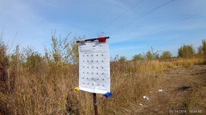 нелегкие золотые мухи ( иж 60 псп  )