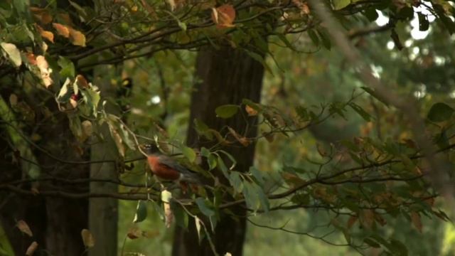 ,,Утро,,    https://vk.com/id670130 смотреть онлайн