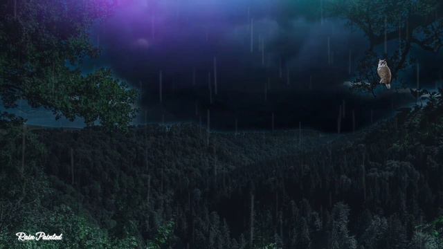 Dark forest, thunderstorm, downpour and the sounds of night owls смотреть онлайн