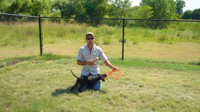 Retrieving Introduction And Biggest Mistakes To Avoid смотреть онлайн