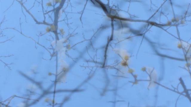 Напутствие 88. Ты – есть Свет. Карты Шивы - Школа Высочайшей Мудрости смотреть онлайн