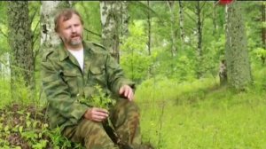 Марьянник (Иван-да-марья)