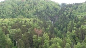 Отдых на Телецком озере в Туркомплексе Эдем