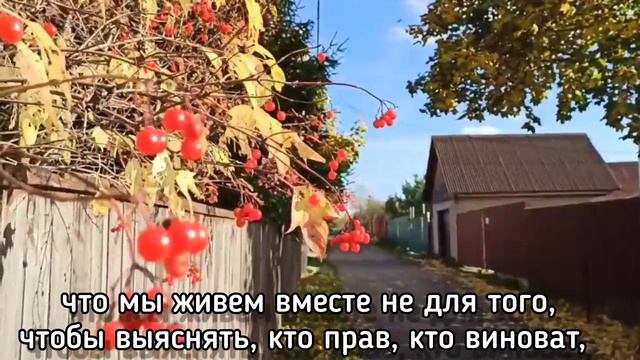 Правило семейной жизни №1. автор Священник Павел Гумеров