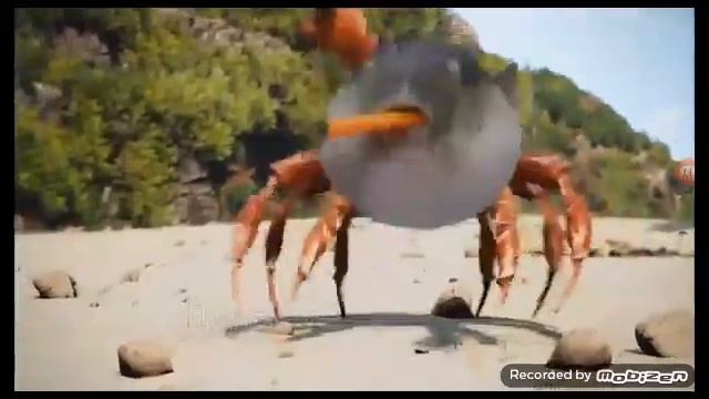 ЧТО ИЗВЕСТНО О РЫБЕ ФУГУ??? смотреть онлайн