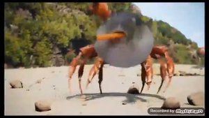 ЧТО ИЗВЕСТНО О РЫБЕ ФУГУ???