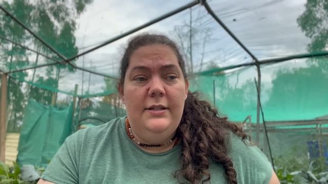 Updated FAQ, Q&A, with many squirrels! | Off Grid Australia 333 смотреть онлайн