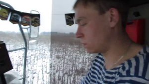 Убираем подсолнечник под Новый год