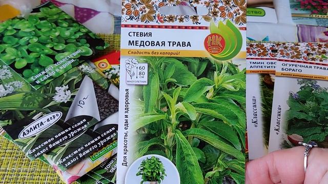 АПТЕКАРСКИЙ ОГОРОД НА ДАЧЕ! СЕЕМ ПОЛЕЗНЫЕ ТРАВЫ!