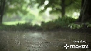 Обалденная песня в исполнении Алёна Росс. ... Чёрная Смородина.