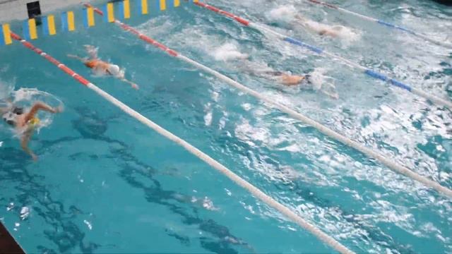 19-й заплыв. Олимп. Южноукраинск. 8 ноября. 2015 г. смотреть онлайн