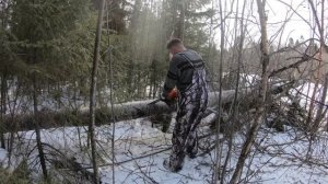 Солонец для лося и кормушка для кабана своими руками!