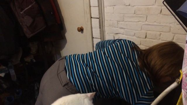 В гостях у Алёны Княжевой. Печка на кухне. смотреть онлайн