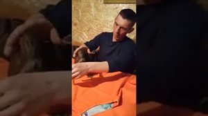 Купили дикую утку для Охоты.