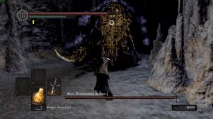 Все обязательные боссы Dark Souls Remastered