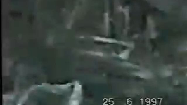 Хождение по стеклам отжимания смотреть онлайн