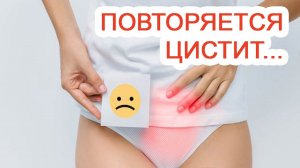 Повторяется цистит… / Доктор Черепанов