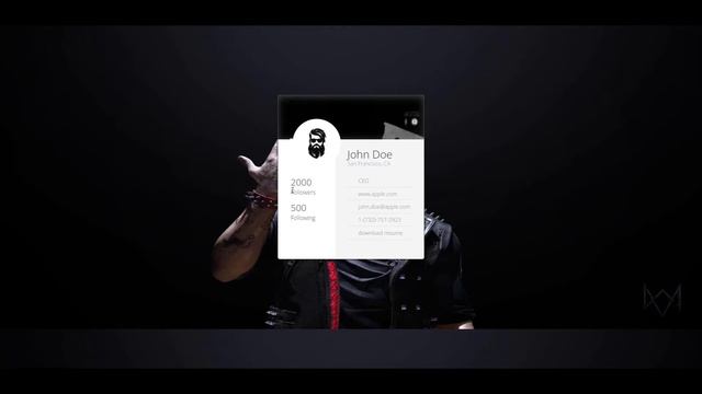Amazing Profile Cards Using Only HTML, CSS & JS with Source Code | The Terminal Boy