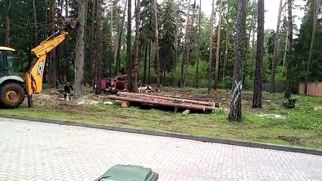 Вырубка деревьев и расчистка участка