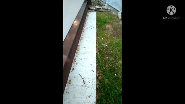 Обзор дешманской ОТМОСТКИ спустя 3 года