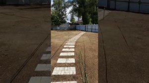 защита газона от птиц