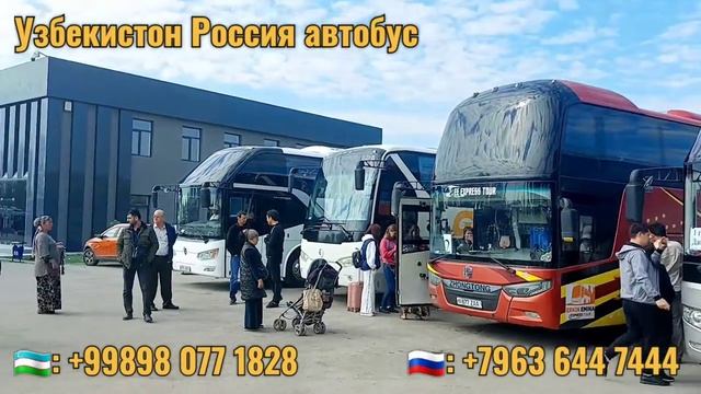 Ташкент Москва автобус Ташкент Россия автобус 2023