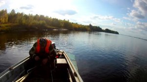Рыбалка на р. Вычегда, тролинг.06.09.2019г.