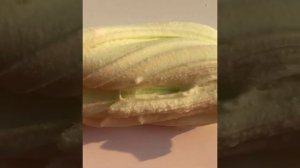 Слайм +история про я же мать из тик тока.