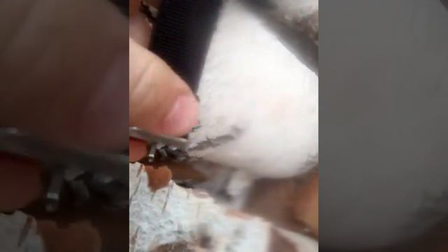 Хороший подарок для мужчины смотреть онлайн