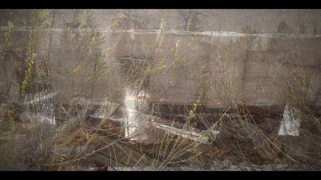 Скоро! Заброшенный пионерский лагерь "Березка". Прогулка. Выпуск 1. смотреть онлайн