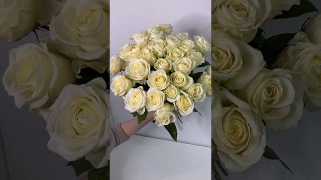 Роза Аваланж, 60см смотреть онлайн