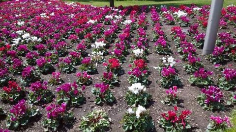 Парк"Зарядье"