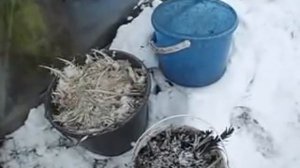 Как сохранить перо птицы до весны? (для использования в виде удобрения) //Секреты хороших урожаев