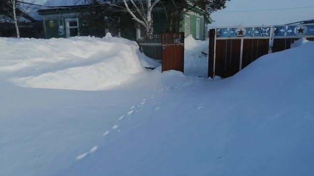 Бегу СПАСАТЬ БАБУЛЮ! Деревня под снегом! ЧИСТКА СНЕГА ОГРОМНЫМ ТРАКТОРОМ! смотреть онлайн
