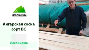 Что лучше, вагонка штиль из ангарской сосны в низком сорте или из обычной сосны