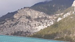 Художественная ковка , Кованые перила , Виноградная лоза, установка