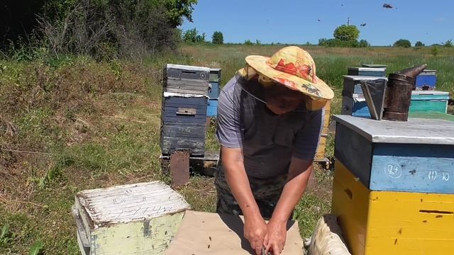 смена матки без перерыва в работе старой ч. 3 смотреть онлайн