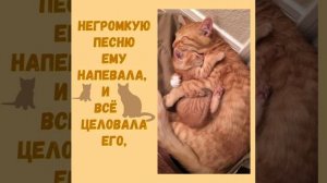 Мы в ответе за них!