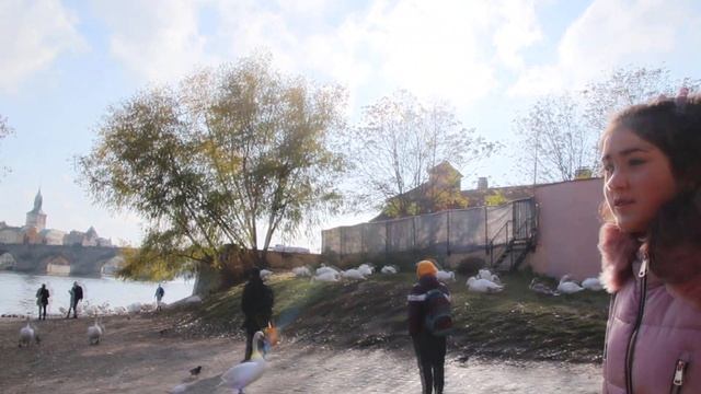 Гуси - Лебеди / Лебединое Озеро смотреть онлайн