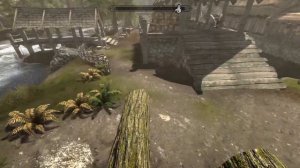 These 2 Mods Make Skyrim Survival Mode Much Better