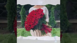 Бархат  алых роз (Евгений  Путилов)