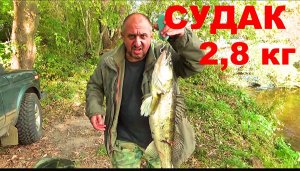 Рыбалка с Ночевкой на Нижней Москва-реке. Судачина на живца. (20 сентября 2019)