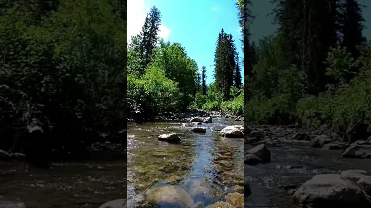 звуки природы таежный ручей релакс #андрейкараульщиков