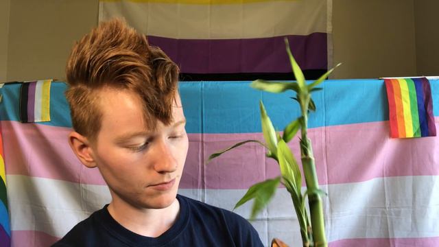 Holy Houseplants!  Houseplant Tour