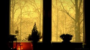 Те, кому нужны вы просто так... /Сергей Доскач/