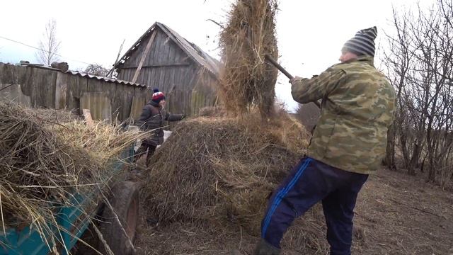 СДАЛ БЫКОВ ,РЕЗУЛЬТАТ ОТКОРМА БЫКОВ смотреть онлайн