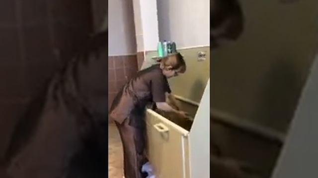 Мойка собаки в груминг салоне. Ванна для мытья собак 