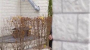 Все мои мысли о тебе