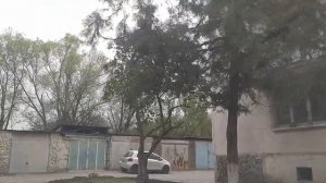 Кыргызстан.с.Беловодское.у.50 лет Октября