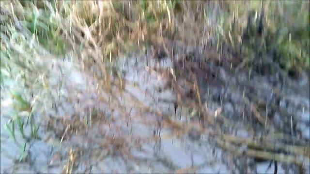 НИВА на ВЛИ-5 первый раз на off-road соревновании (Тропа Паустовского 2019)
